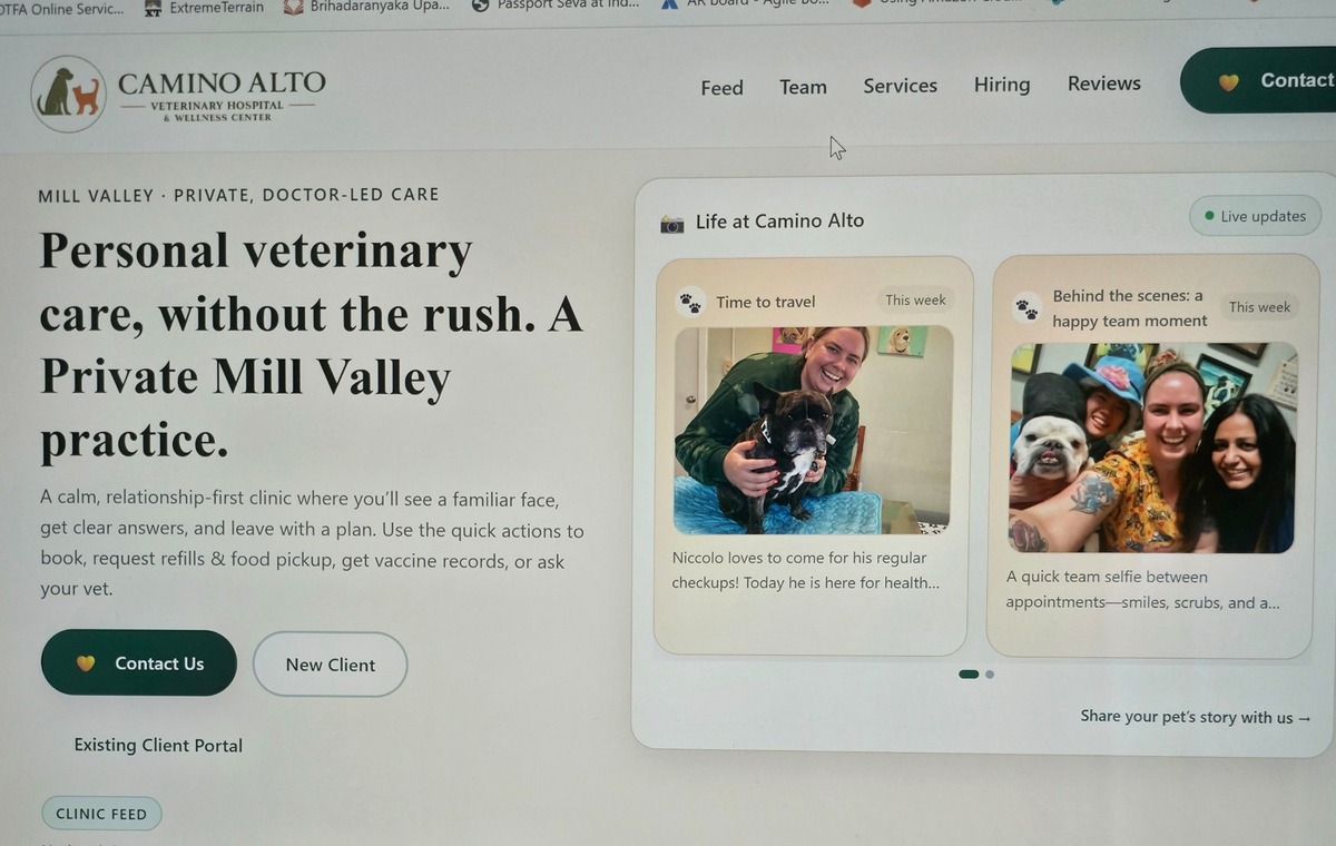 Camino Alto and the Living Heartbeat of Small Businesses